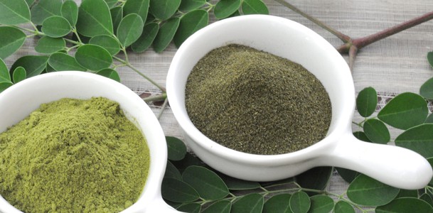  Zemní listy Moringa