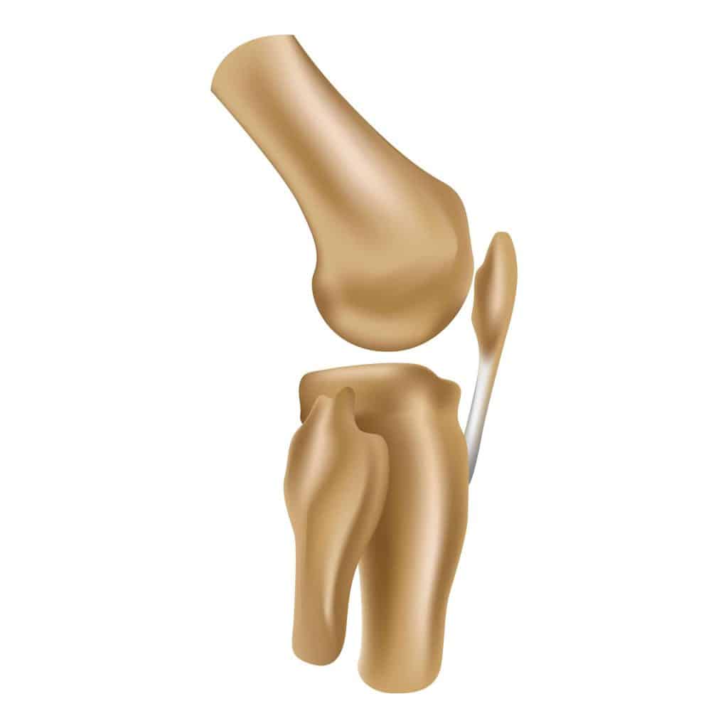  schéma kostí a kolenního kloubu