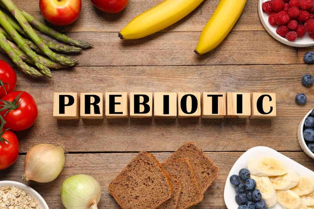  prebiotika