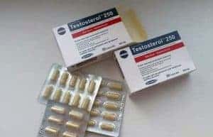 testosterol tabletten