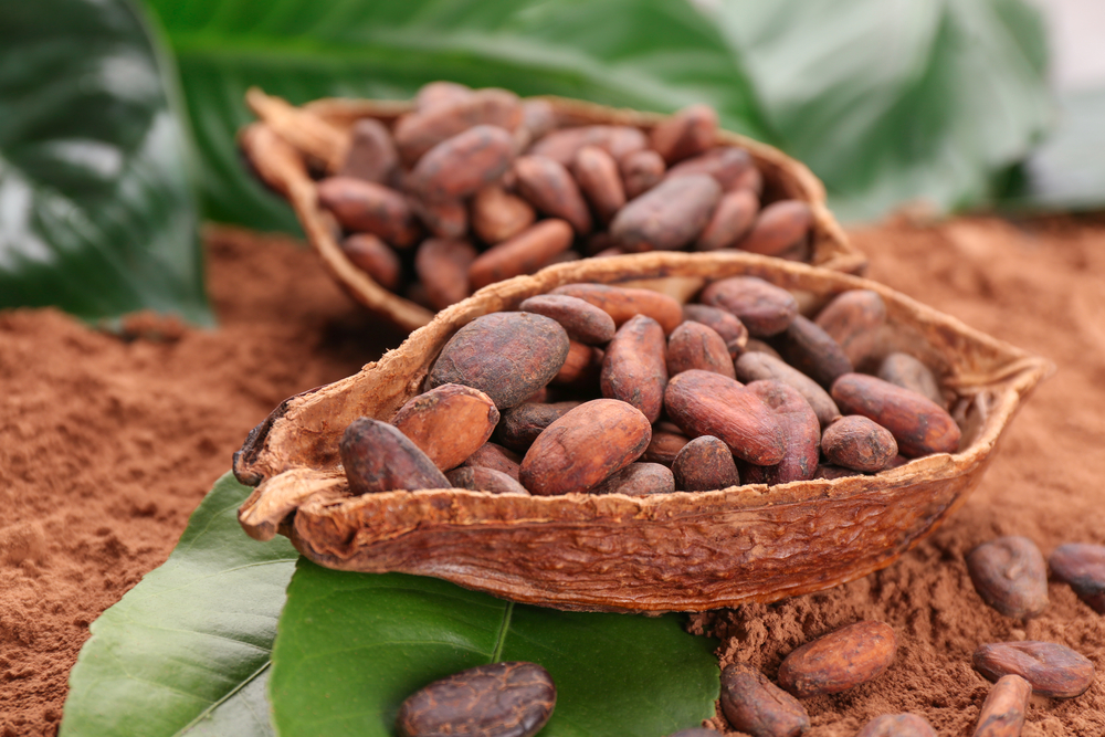  Kakaobohnen