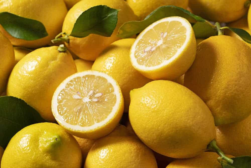  Zitronen