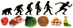  fødevarer og menneskets udviklingsmønster