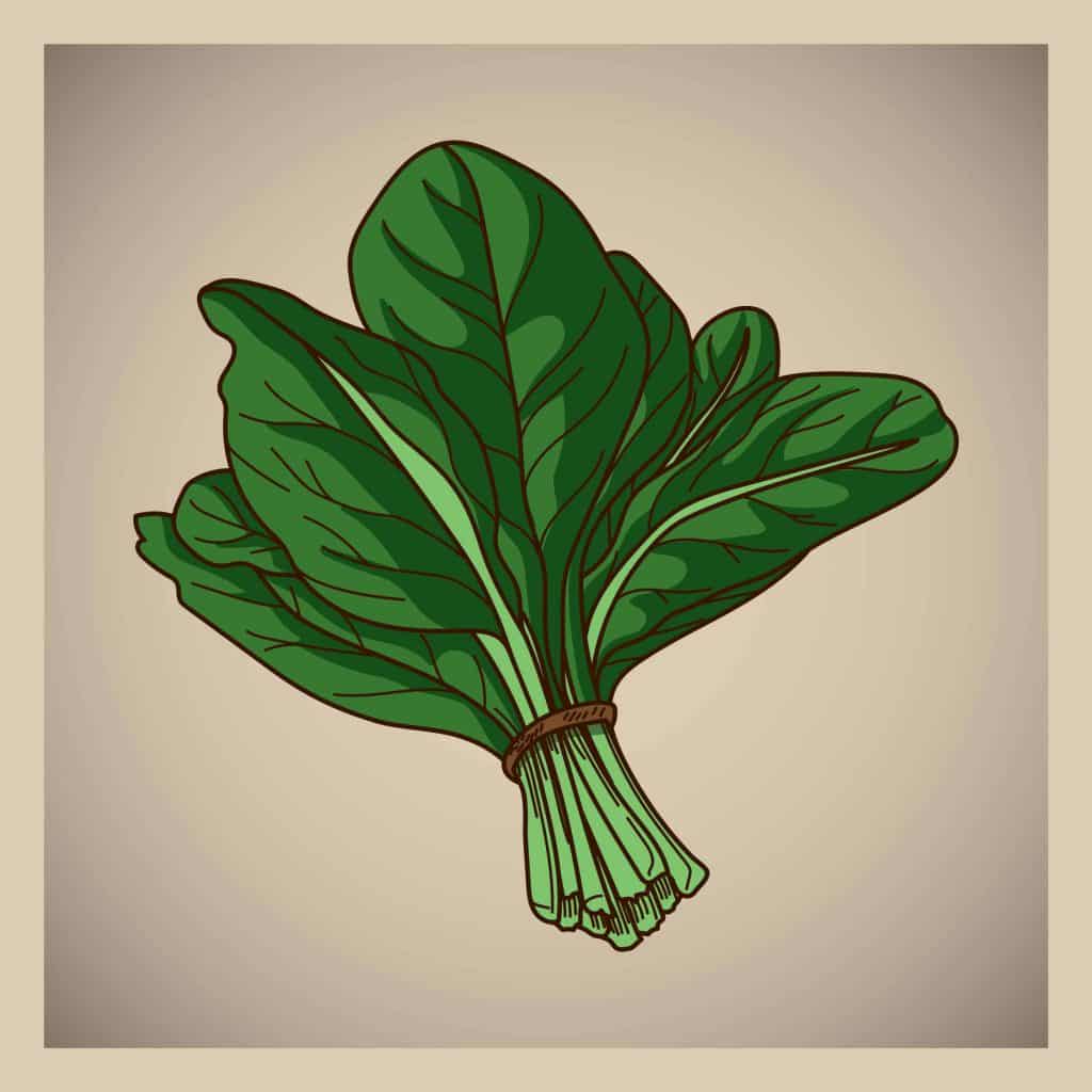  Figur af spinatblade