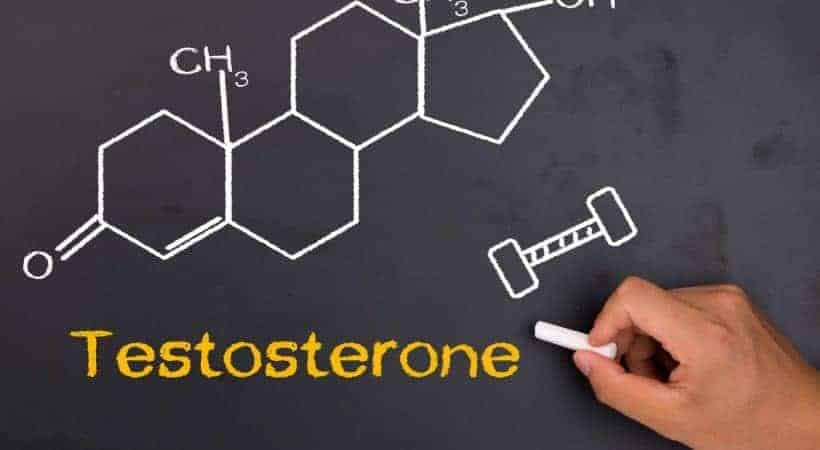  testosteronformel på en tavle