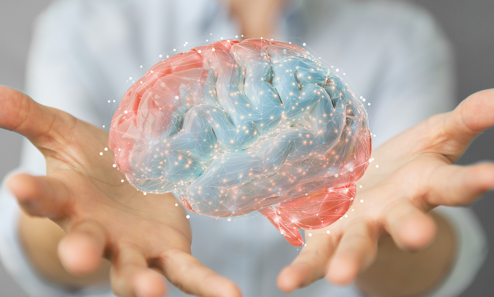  3D-hjerne i menneskehjernen
