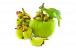  Fruta garcinia cambogia