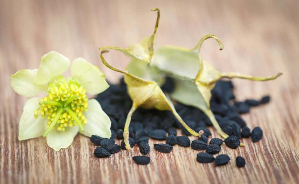 Cumin noir propriétés. A quoi sert l'huile de cumin ?