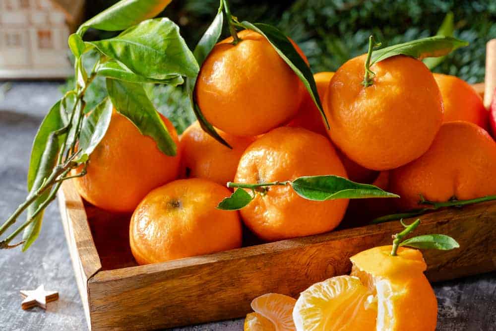  Les mandarines