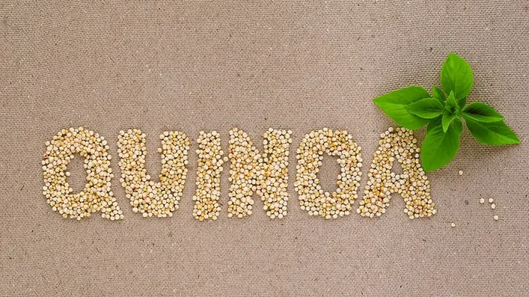 quinoa