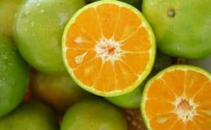  rūgtā apelsīna augļi
