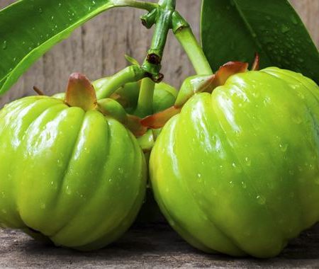 garcinia cambogia 01