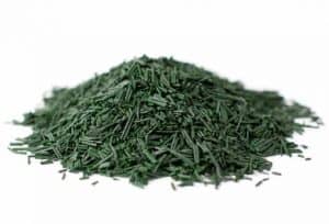 Choco Lite (comentários, efeitos, como usar) - como funciona a perda de peso do chocolate e vale a pena o preço? 6 espirulina