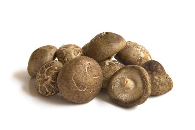  cogumelos shitake