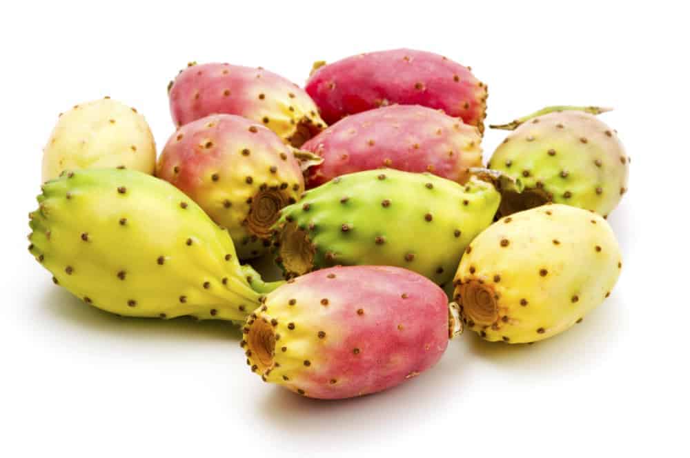  Fruto do figo-da-índia