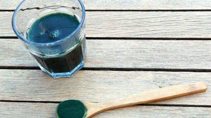 spirulina 1829076 960 720