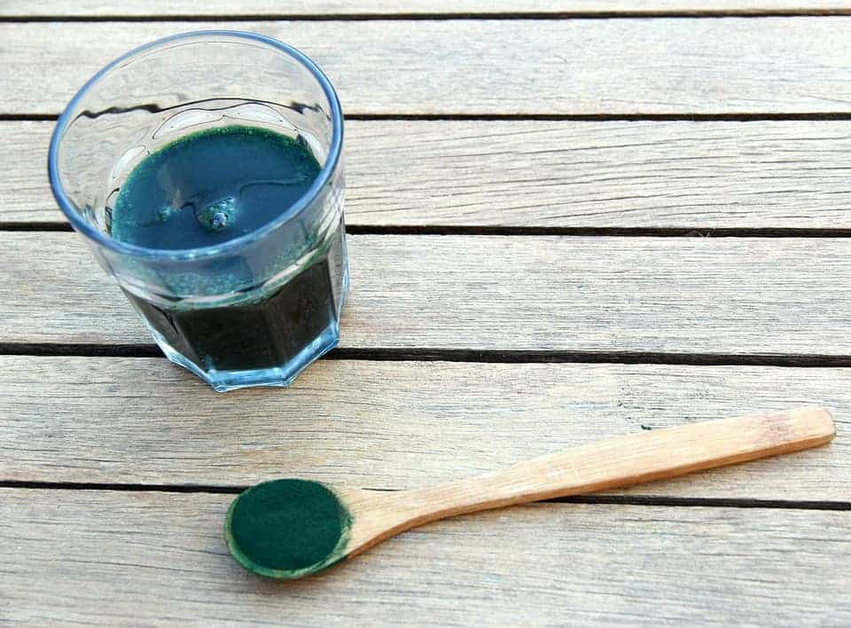 spirulina 1829076 960 720