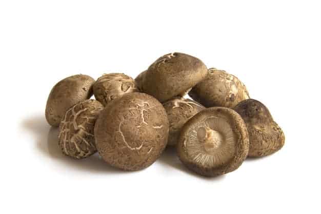  Shitake-svampar