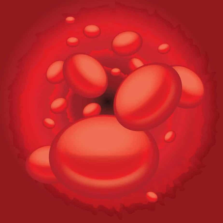  red blood cells